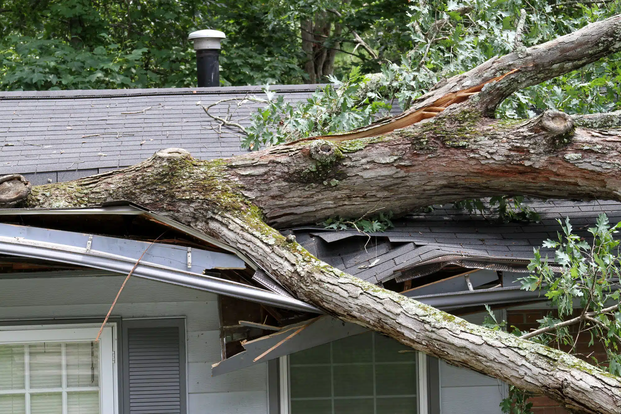 Home damage by large tree in Oklahoma